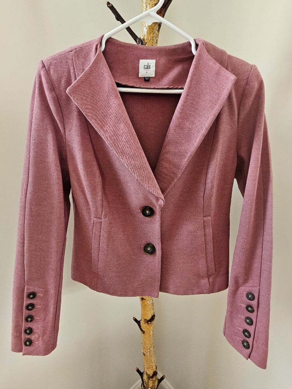 Cabi Blazer